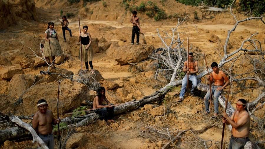 O abate indiscriminado de árvores põe em causa o ecossistema amazónico e ameaça a sobrevivência de indígenas