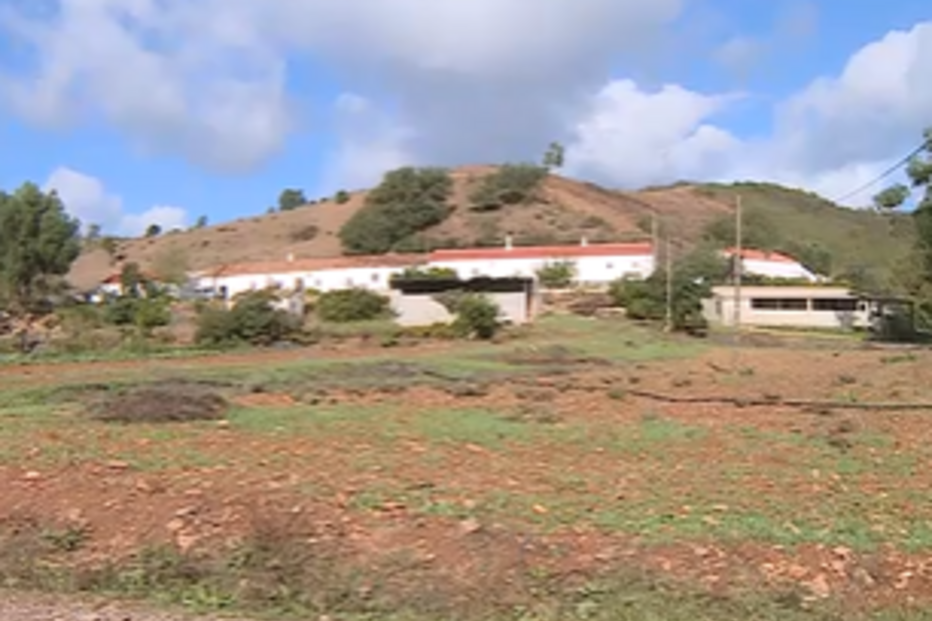 Homem usa arma de caça para matar a mulher