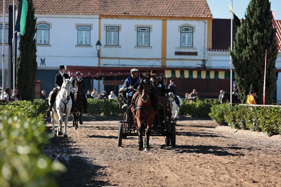 Acidente na Feira do Cavalo
