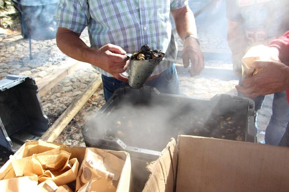 Feira da Castanha chega a Marvão no mês de novembro