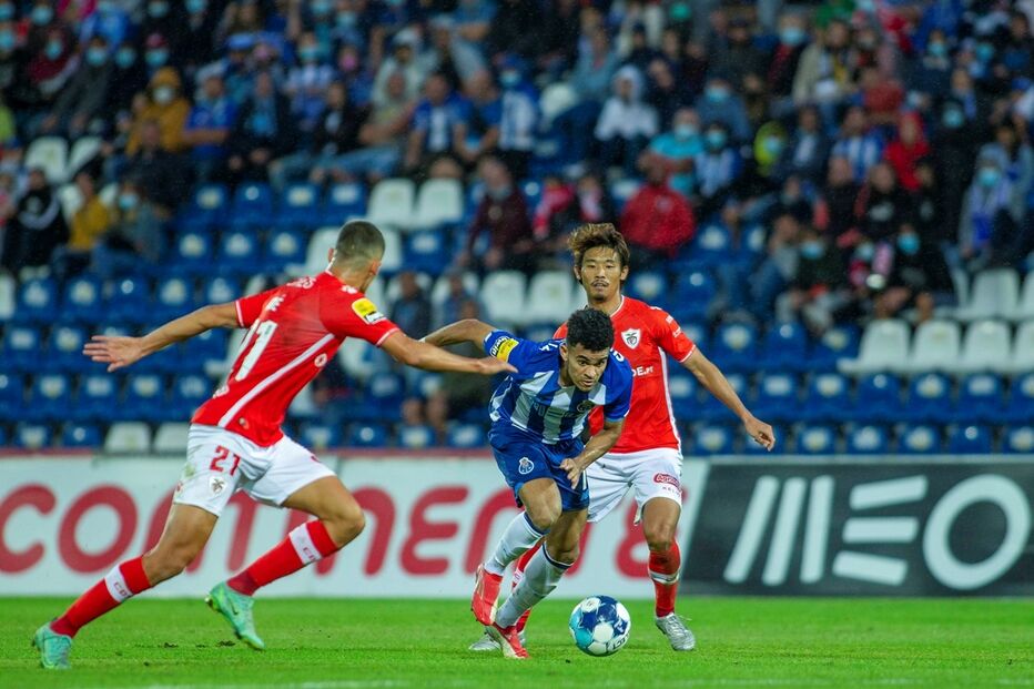 34712574.JPG (11849385) (Milenium)