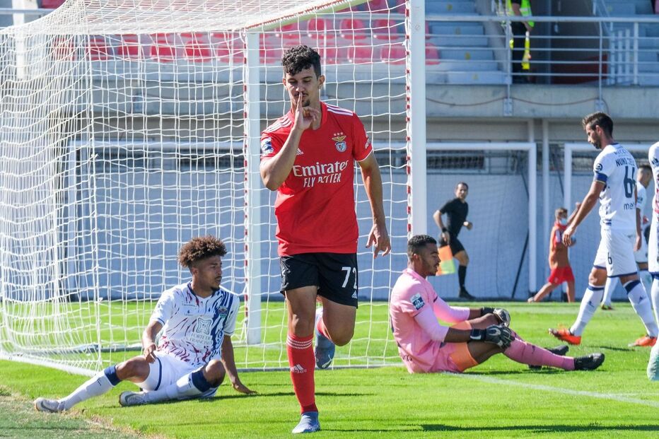 Tomás Araújo