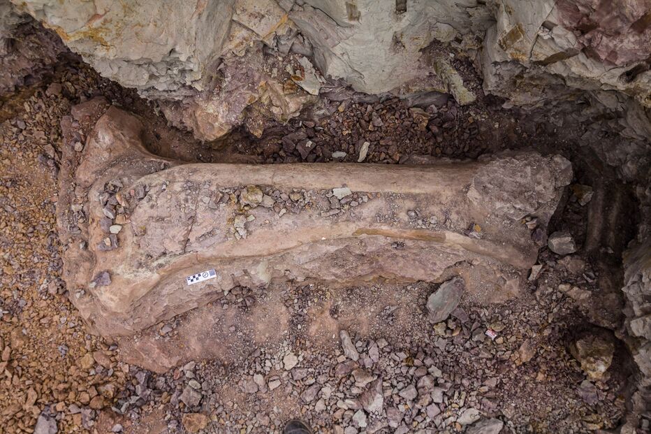 Paleontólogos da Universidade Federal de Santa Maria posam para foto ao lado de osso de dinossauro gigante encontrado em Divinópolis, estado do Maranhão, Brasil