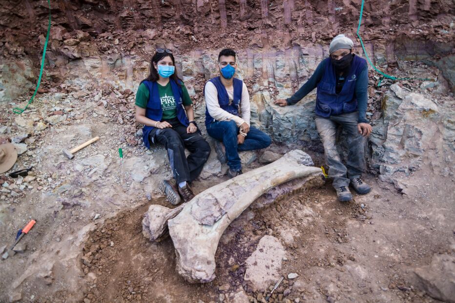 Paleontólogos da Universidade Federal de Santa Maria posam para foto ao lado de osso de dinossauro gigante encontrado em Divinópolis, estado do Maranhão, Brasil