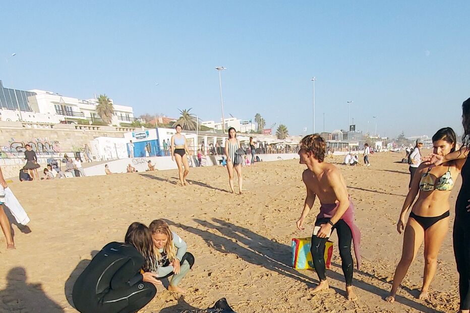 golfinho morto, praia carcavelos
