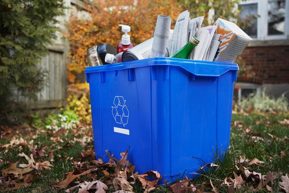 2021-11-15_18_10_20 275635_275635_l_srgb_s_gl.jpg