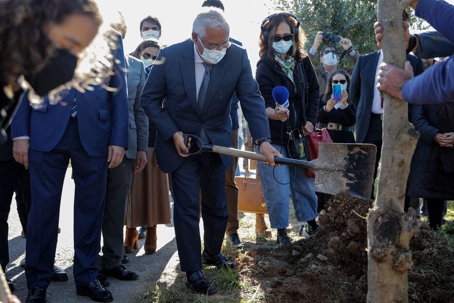 34777060.JPG (11950042) (Milenium)