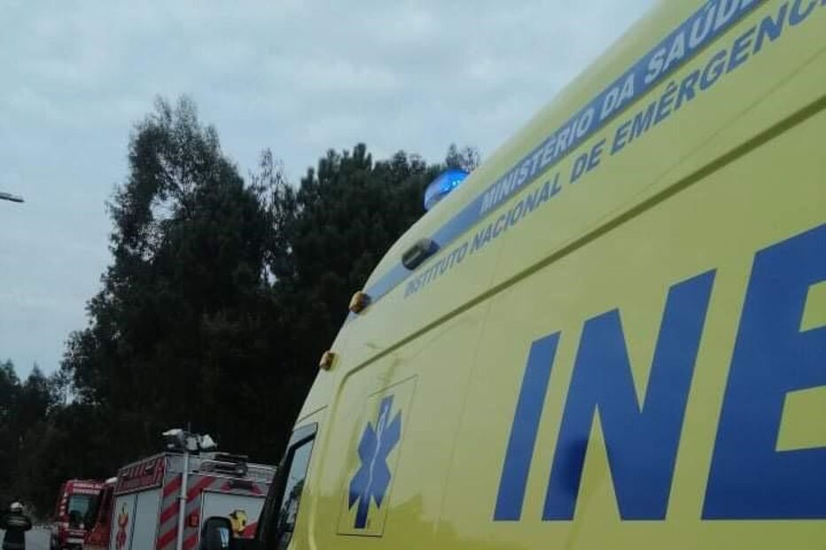 2021-11-20_13_39_21 oliveiradeazemeis2.jpg