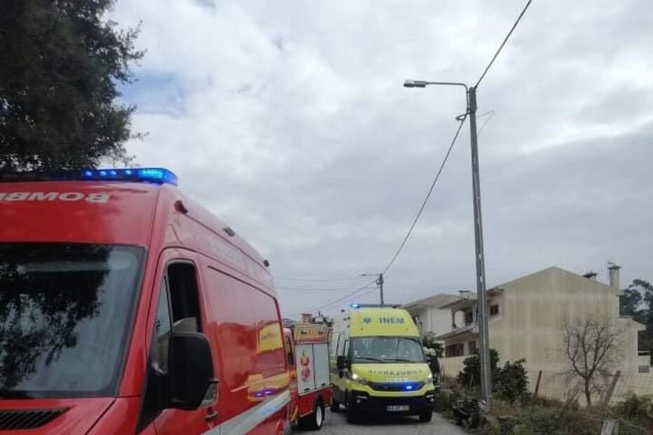 2021-11-20_13_39_23 oliveiradeazemeis4.jpg