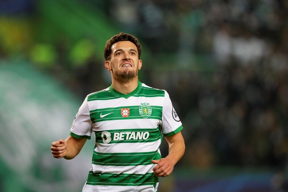 34845763.JPG (12042567) (Milenium)