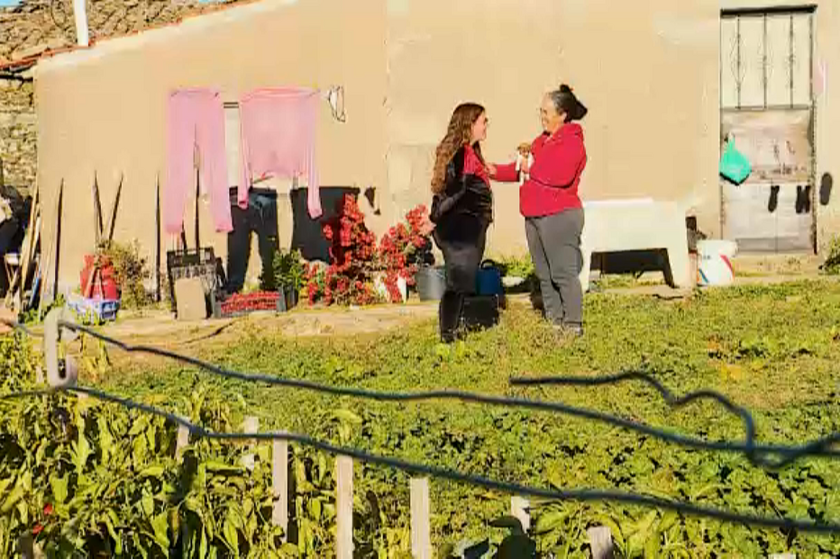 Quatro filhas foram retiradas a casal em Tabuaço