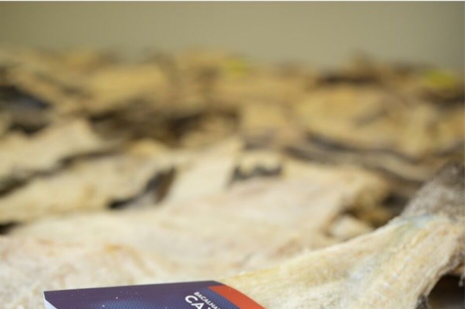 2021-11-30_11_49_03 2.jpg