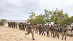 Portugueses lideram treino contra jihadistas em Moçambique