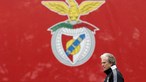 Benfica recorre do castigo a Jorge Jesus e desafia FPF a dissolver Conselho de Disciplina