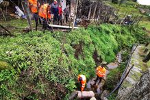 Bombeiros resgatam porco que caiu numa ravina em Arcos de Valdevez