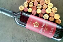 2021-12-09_16_06_17 Herdade Foto3.jpg