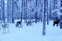 Georgina Rodríguez viajou com os filhos e um grupo de amigos 