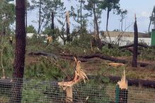 Vento forte em Salvaterra de Magos