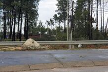 Vento forte em Salvaterra de Magos