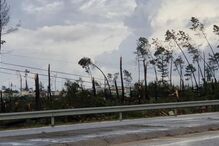 Vento forte em Salvaterra de Magos