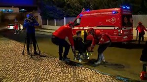 Dois polícias feridos e um adepto detido durante o dérbi Benfica-Sporting