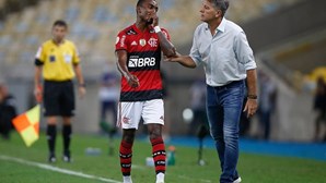 Jogador do Flamengo atropela e mata ciclista em acidente no Brasil