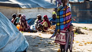 Famílias deslocadas pela guerra em Moçambique queixam-se de falta de apoio