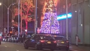 Homem detido por incendiar árvore de Natal de 15 metros no centro de Manhattan
