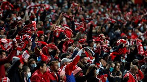 Benfica triunfa sobre o Dínamo Kiev e segue para os 'oitavos' da Liga dos Campeões