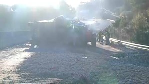 Despiste de camião cortou A21 na Malveira