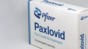 Pfizer diz que testou com sucesso tratamento oral contra variante Ómicron