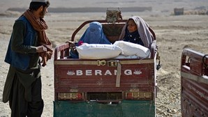 Talibãs proíbem mulheres de viajar sem companhia de homens
