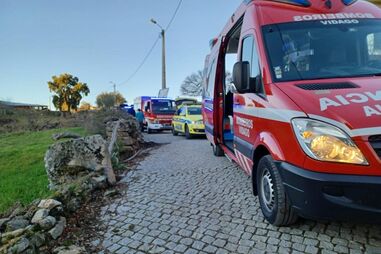 Septuagenário em estado grave depois de cair de oliveira em Chaves