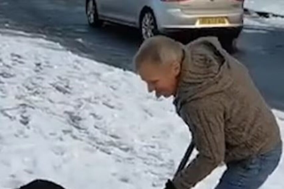 cão brinca com pá de neve