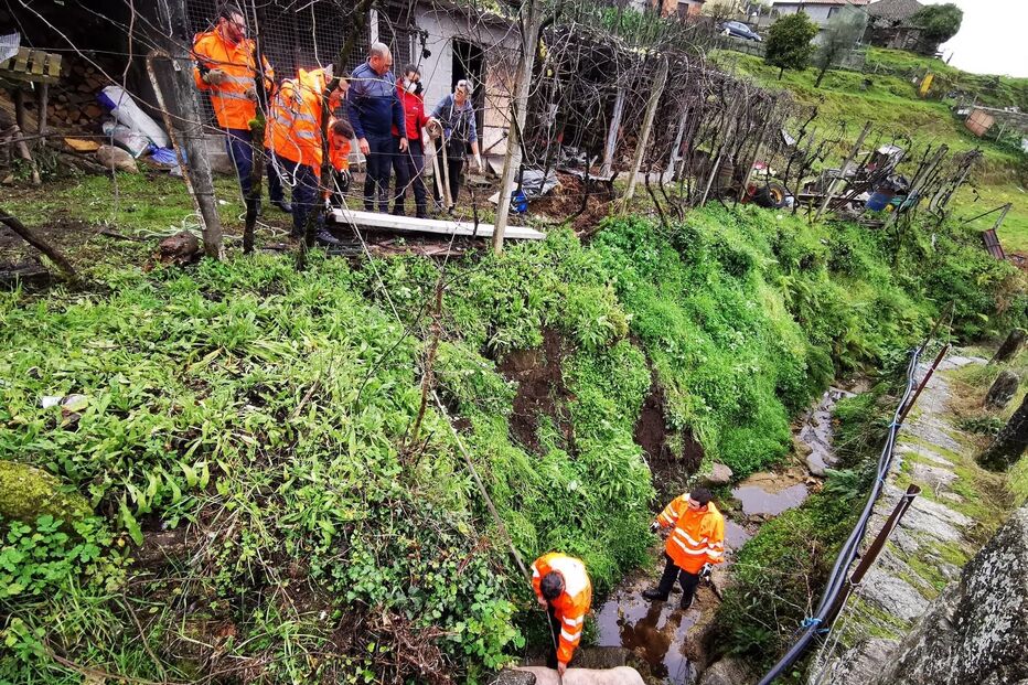 Bombeiros resgatam porco que caiu numa ravina em Arcos de Valdevez