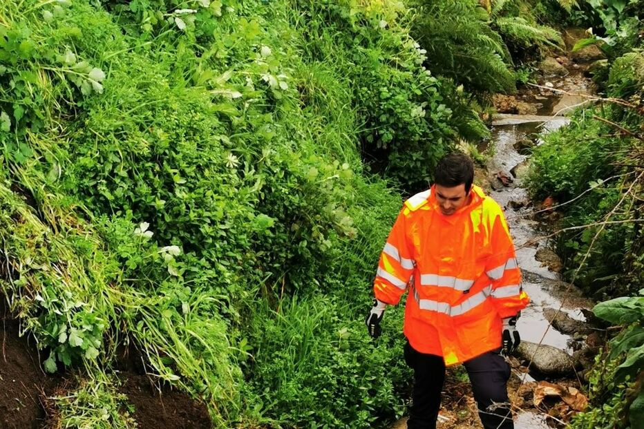 Bombeiros resgatam porco que caiu numa ravina em Arcos de Valdevez