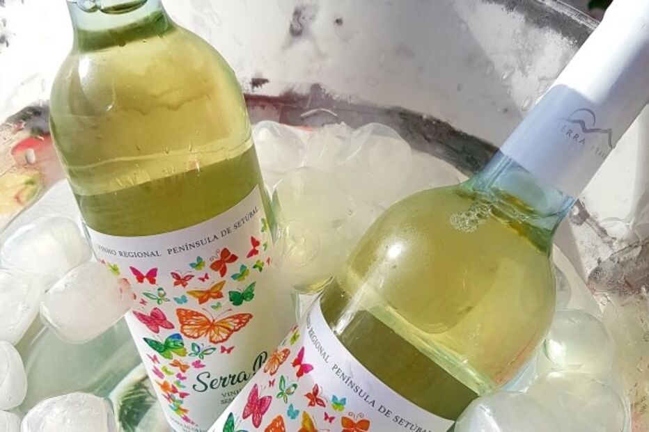 2021-12-09_16_06_16 Herdade Foto2.jpg