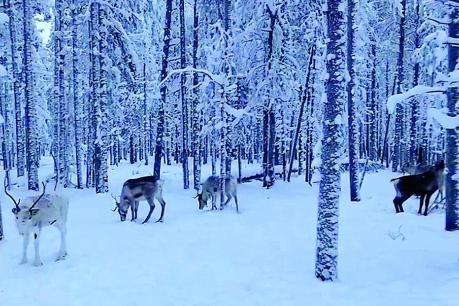 Georgina Rodríguez viajou com os filhos e um grupo de amigos 