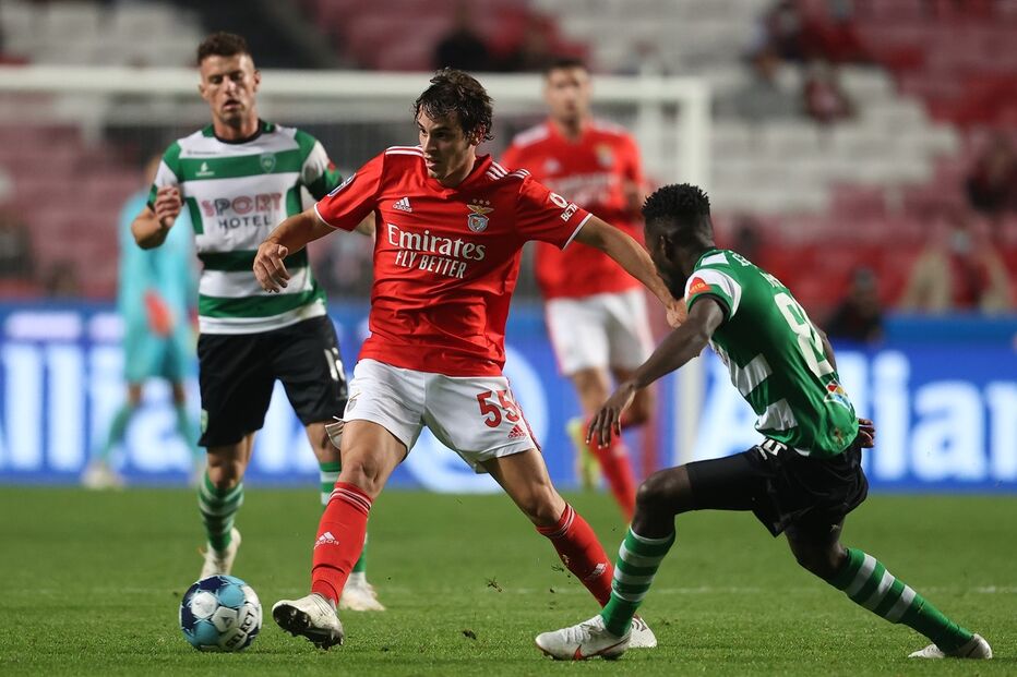 Paulo Bernardo, Benfica