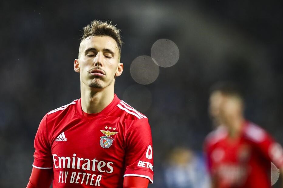 Grimaldo