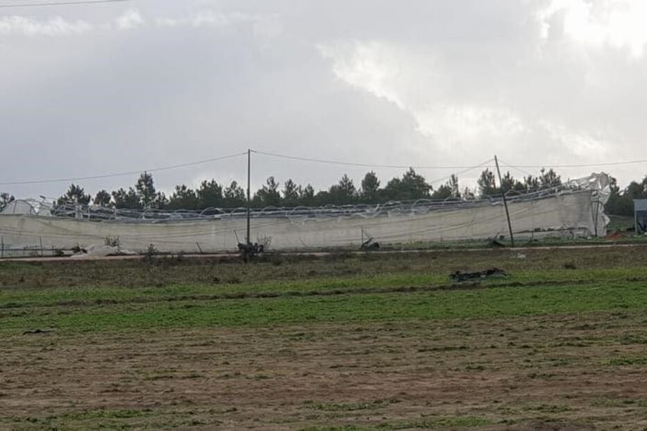 Vento forte em Salvaterra de Magos