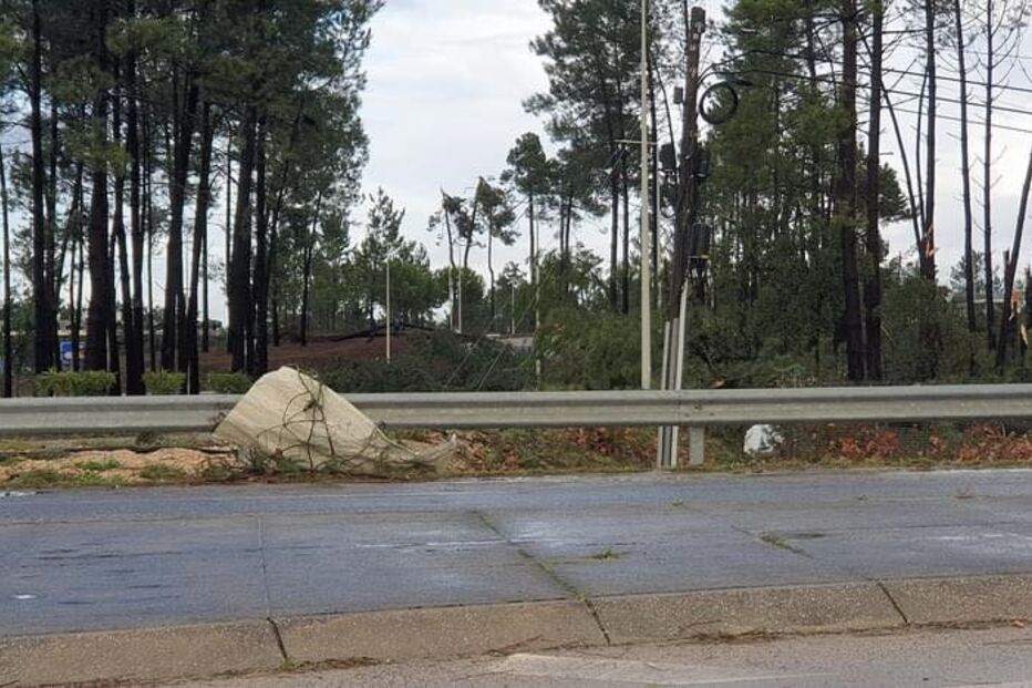 Vento forte em Salvaterra de Magos
