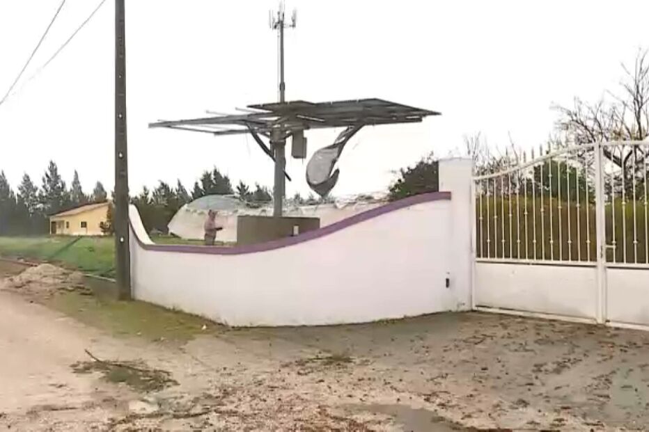 Tornado em Salvaterra de Magos arrasou pombal, danificou casa e destruiu estufa
