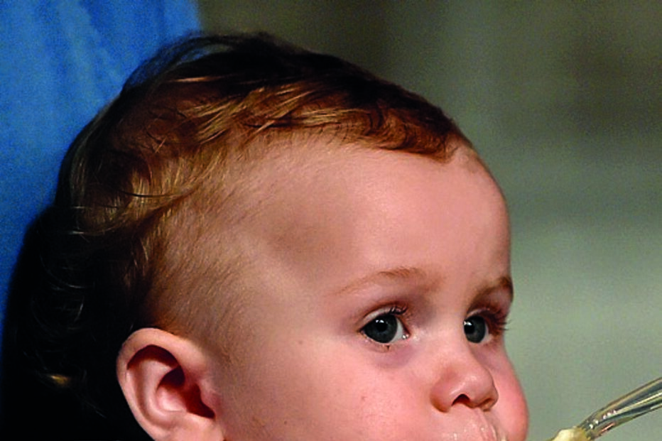 bebés, alimentação, comida