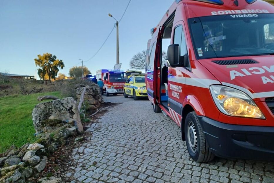 Septuagenário em estado grave depois de cair de oliveira em Chaves