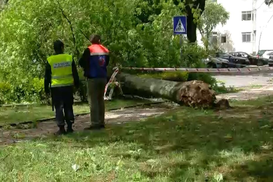 Câmara de Braga recorre para não pagar por morte de homem