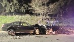 GNR investiga condução e álcool em acidente que matou menino de seis anos e homem