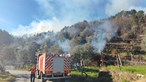 Dominado o fogo florestal que levou cerca de 250 bombeiros a Vale de Cambra