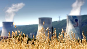 Ativistas defendem que energia nuclear é solução para crise e para descarbonizar