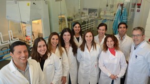 Biotecnológica portuguesa desenvolve vacina e tratamento para infeções bacterianas